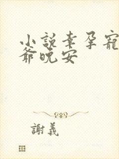 小说幸孕宠妻战爷晚安