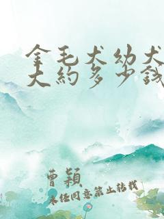 金毛犬幼犬一只大约多少钱