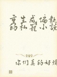重生成偏执大佬的私宠小说