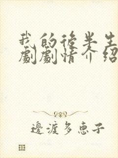 我的后半生电视剧剧情介绍分集