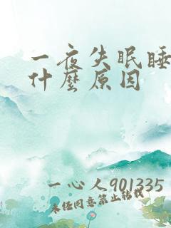 一夜失眠睡不着什么原因