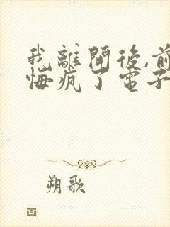 我离开后,前妻悔疯了电子书阅读