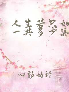 人生若只如初见一共多少集