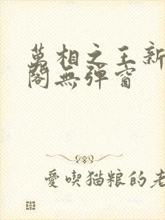万相之王新笔趣阁无弹窗