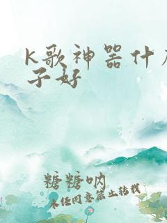k歌神器什么牌子好