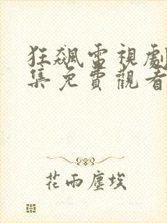 狂飙电视剧40集免费观看全集