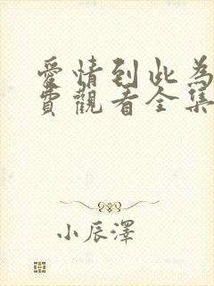 爱情到此为止免费观看全集完整版