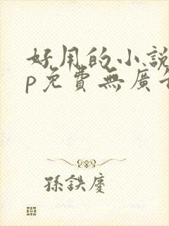 好用的小说app免费无广告