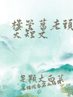楼管葛老头的春天短文