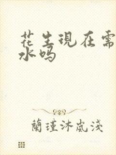 花生现在需要浇水吗