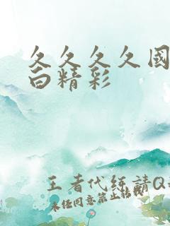 久久久久国产对白精彩