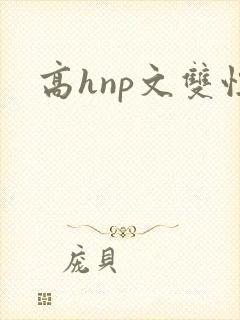 高hnp文双性