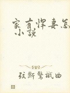 家有悍妻怎么破 小说