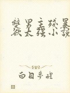 双男主残暴占有欲太强小说名字