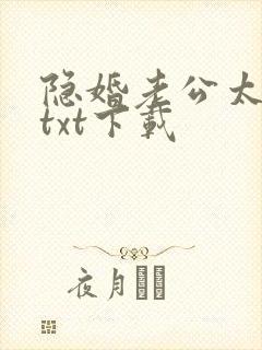 隐婚老公太神秘txt下载