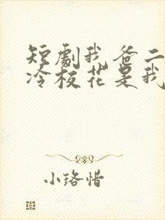 短剧我爸二婚高冷校花是我妹演员表