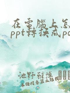 在电脑上怎么把ppt转换成pdf