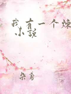 我有一个炼妖壶 小说