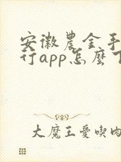 安徽农金手机银行app怎么下载