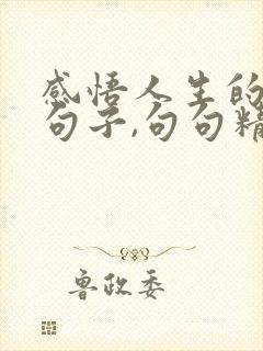 感悟人生的哲理句子,句句精辟