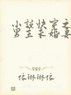 小说快穿之我是男主未婚妻txt