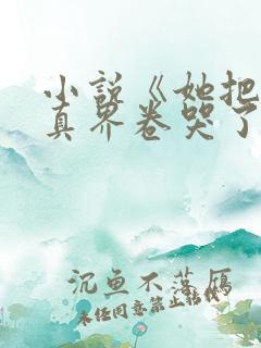 小说《她把全修真界卷哭了》