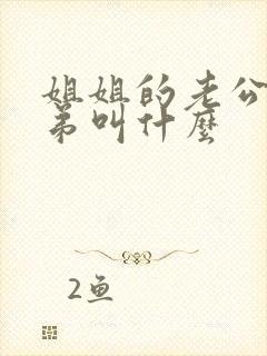 姐姐的老公的弟弟叫什么