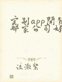 定制app开发哪家公司好