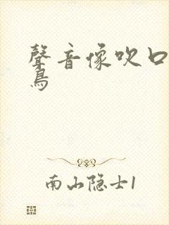 声音像吹口哨的鸟
