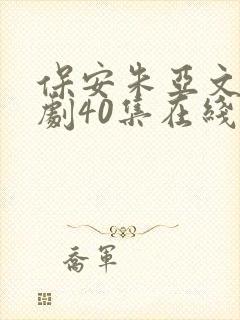 保安朱亚文电视剧40集在线观看
