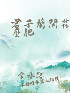 君子兰开花施什么肥