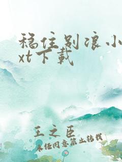 稳住别浪小说txt下载