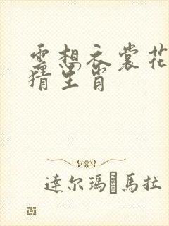 云想衣裳花想容猜生肖
