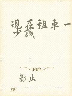 现在租车一天多少钱