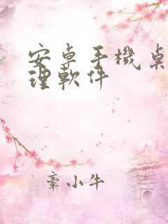 安卓手机桌面清理软件