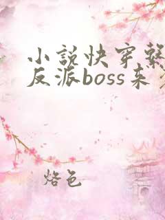 小说快穿系统之反派boss来袭txt