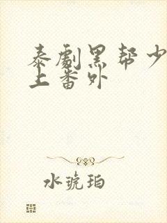 泰剧黑帮少爷爱上番外