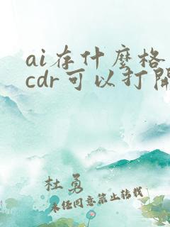 ai存什么格式cdr可以打开