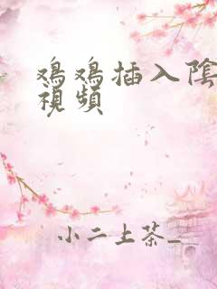 鸡鸡插入阴道的视频