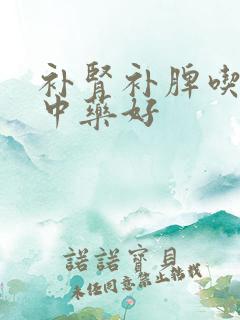补肾补脾吃什么中药好