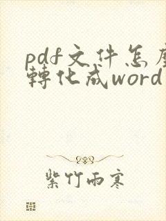 pdf文件怎么转化成word文档