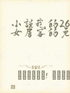 小说我的26岁女房客的免费阅读