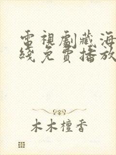 电视剧藏海传在线免费播放