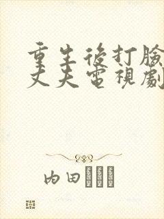 重生后打脸虚伪丈夫电视剧