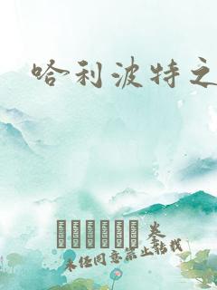 哈利波特之守护