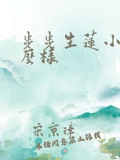 步步生莲小说怎么样
