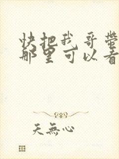快把我哥带走在那里可以看