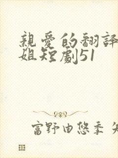 亲爱的翻译官小姐短剧51