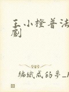 王小橙普法栏目剧