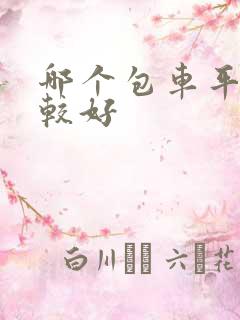哪个包车平台比较好
